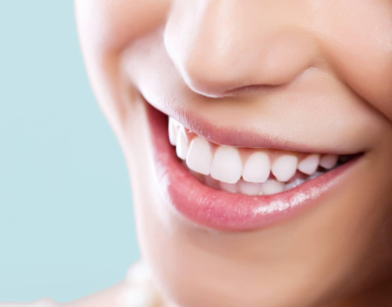 dents adulte